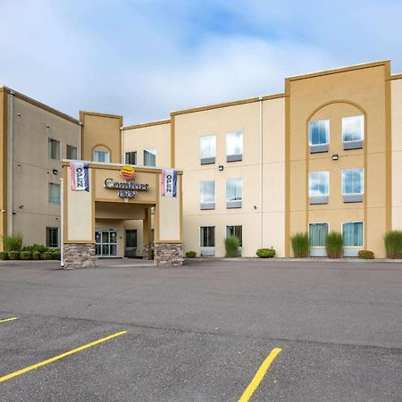 Comfort Inn Apalachin - Binghamton W Route 17 Zewnętrze zdjęcie