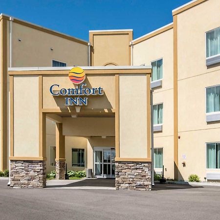 Comfort Inn Apalachin - Binghamton W Route 17 Zewnętrze zdjęcie