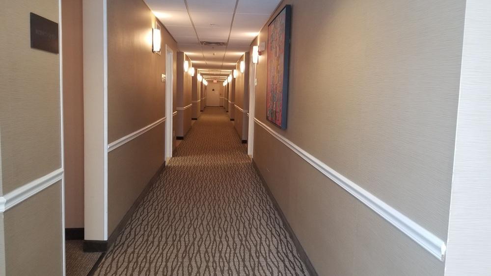 Comfort Inn Apalachin - Binghamton W Route 17 Zewnętrze zdjęcie