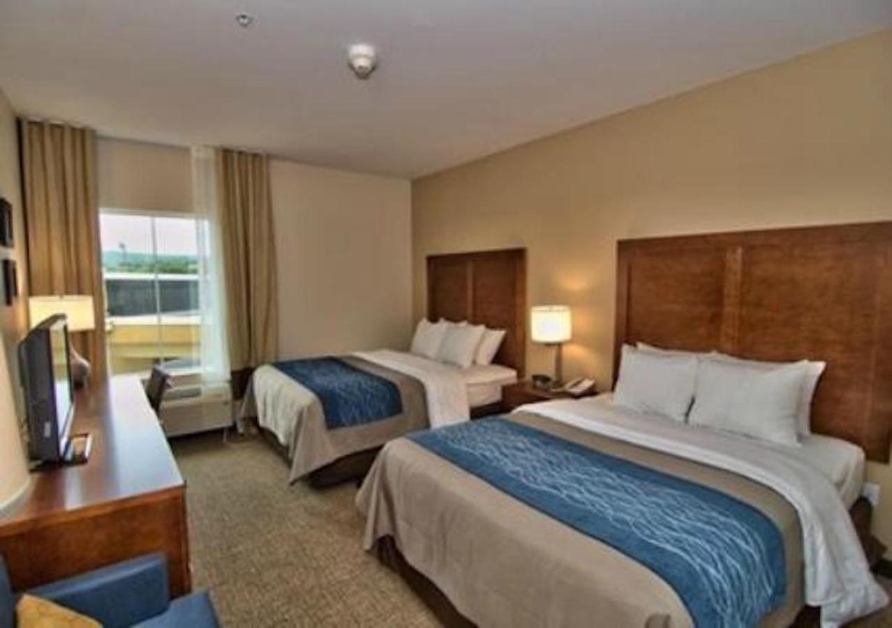 Comfort Inn Apalachin - Binghamton W Route 17 Zewnętrze zdjęcie