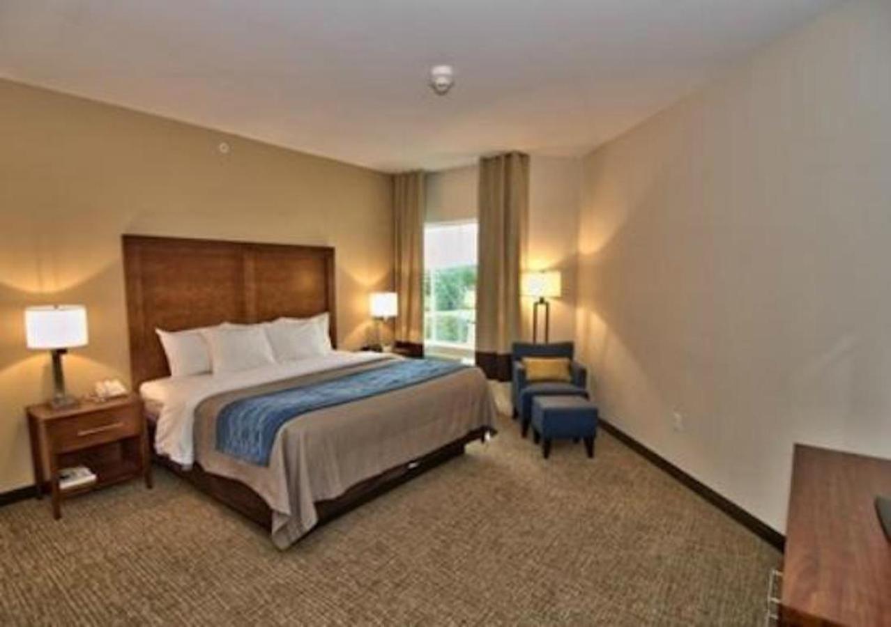 Comfort Inn Apalachin - Binghamton W Route 17 Zewnętrze zdjęcie