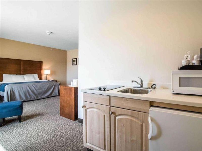 Comfort Inn Apalachin - Binghamton W Route 17 Zewnętrze zdjęcie