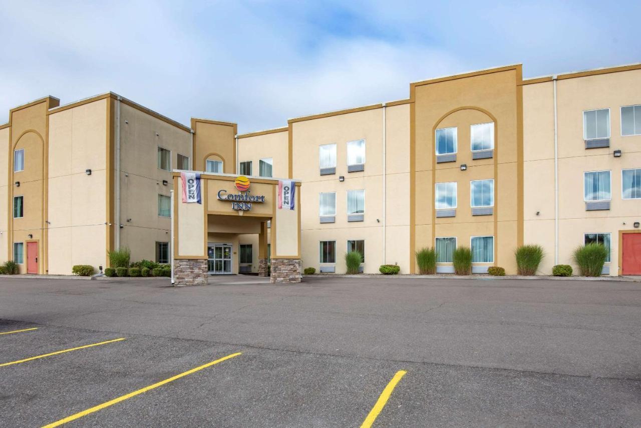 Comfort Inn Apalachin - Binghamton W Route 17 Zewnętrze zdjęcie