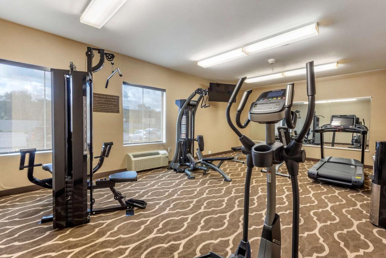 Comfort Inn Apalachin - Binghamton W Route 17 Zewnętrze zdjęcie