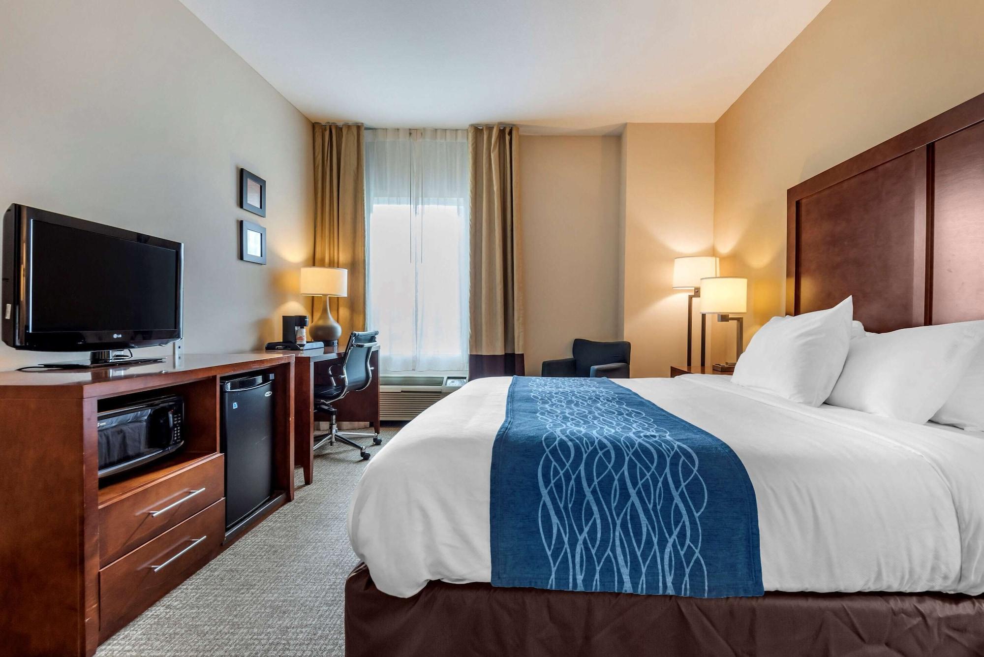 Comfort Inn Apalachin - Binghamton W Route 17 Zewnętrze zdjęcie