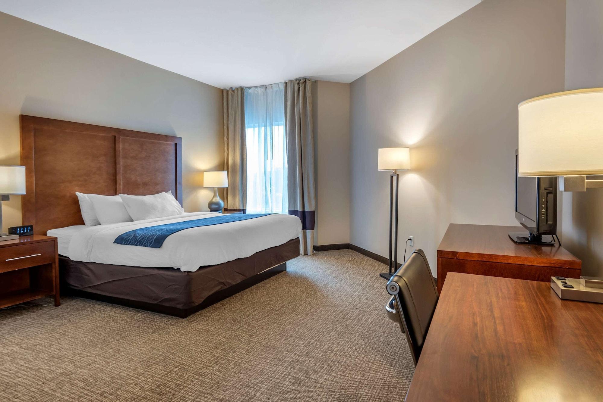 Comfort Inn Apalachin - Binghamton W Route 17 Zewnętrze zdjęcie