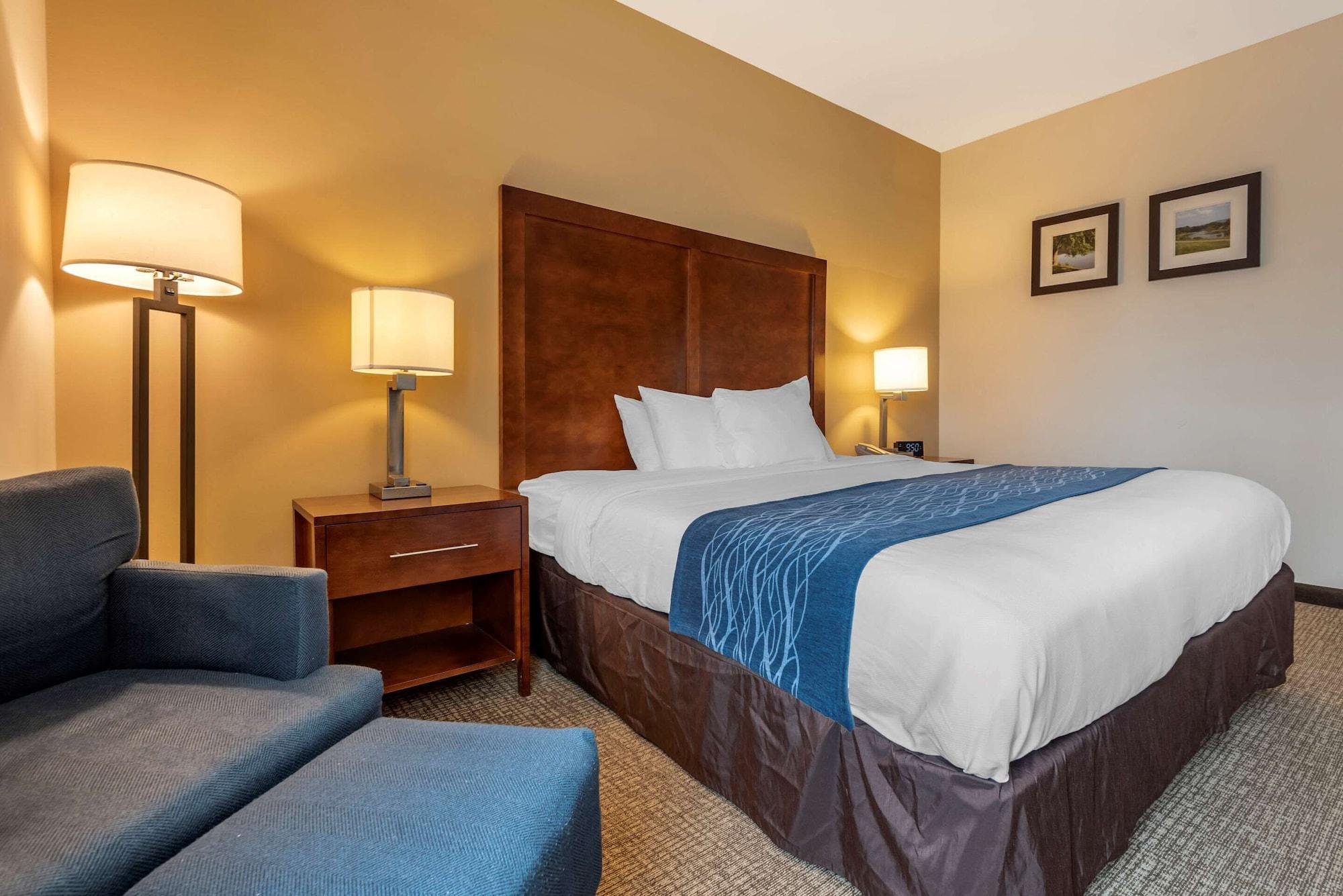 Comfort Inn Apalachin - Binghamton W Route 17 Zewnętrze zdjęcie