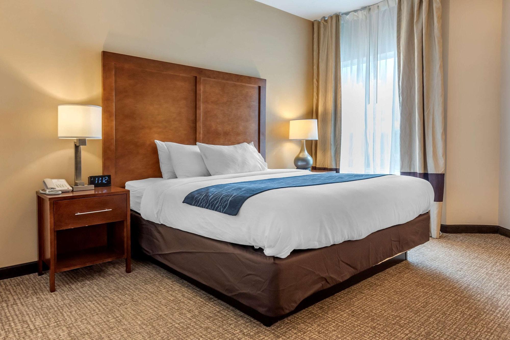 Comfort Inn Apalachin - Binghamton W Route 17 Zewnętrze zdjęcie