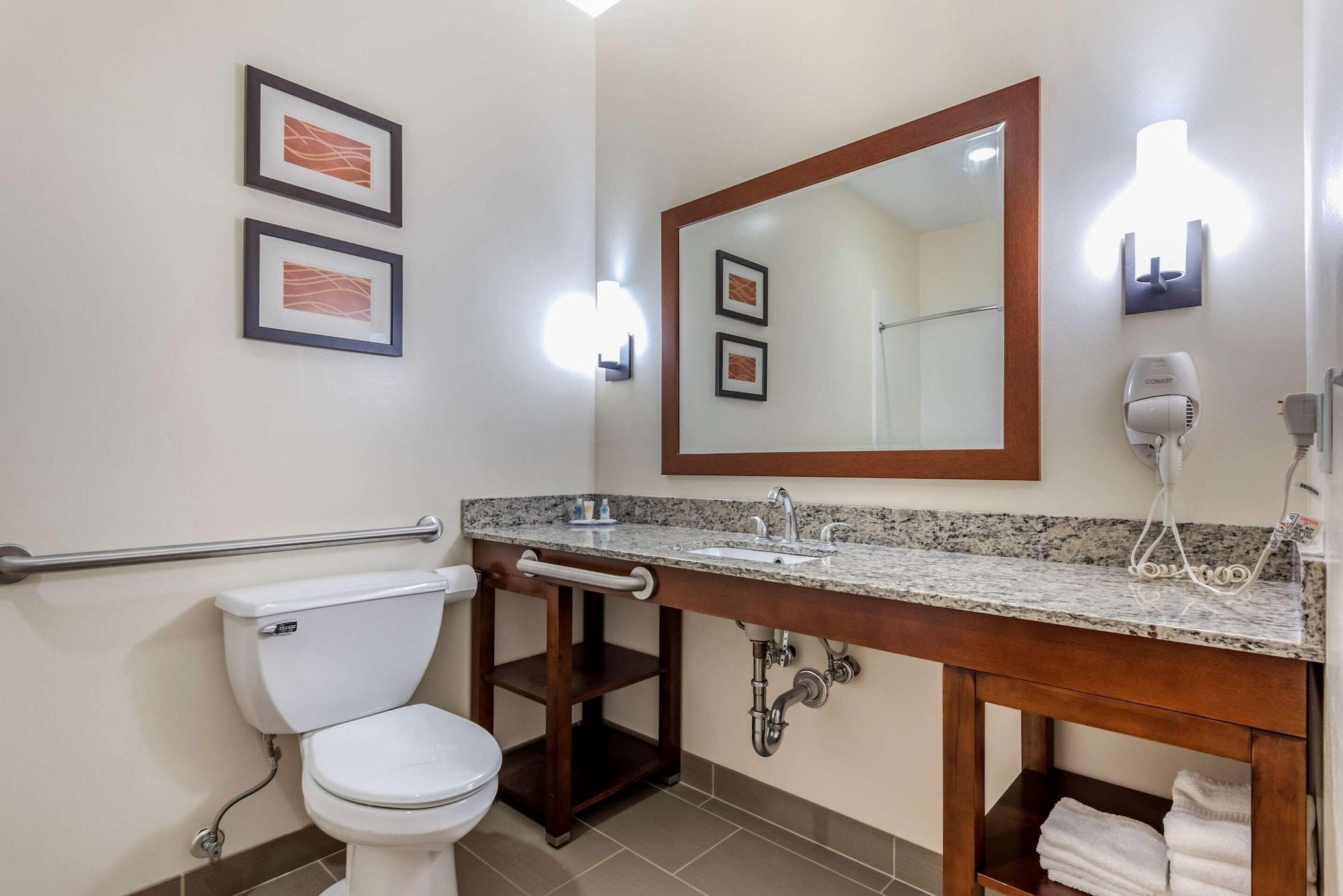 Comfort Inn Apalachin - Binghamton W Route 17 Zewnętrze zdjęcie