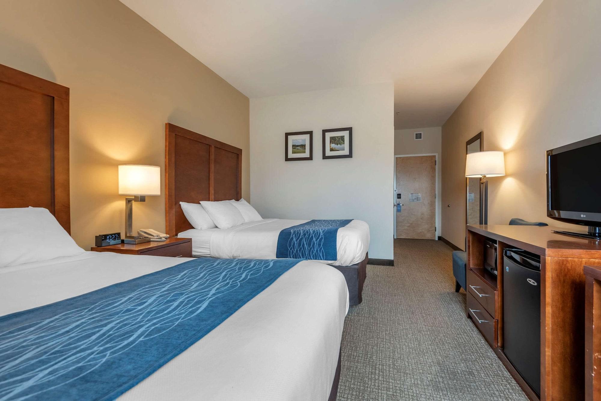 Comfort Inn Apalachin - Binghamton W Route 17 Zewnętrze zdjęcie