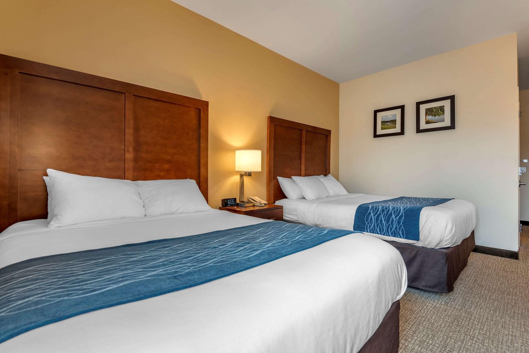 Comfort Inn Apalachin - Binghamton W Route 17 Zewnętrze zdjęcie
