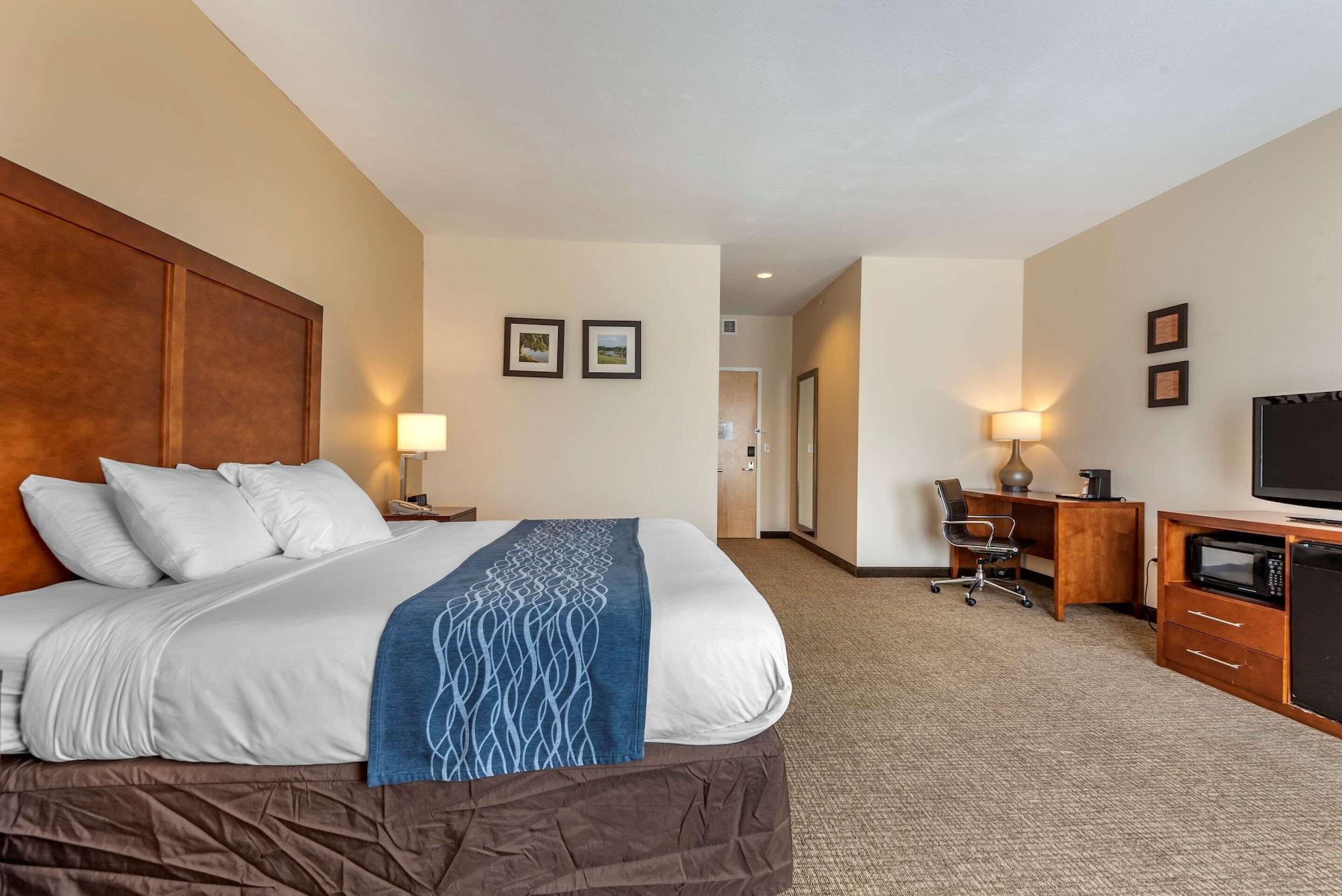 Comfort Inn Apalachin - Binghamton W Route 17 Zewnętrze zdjęcie