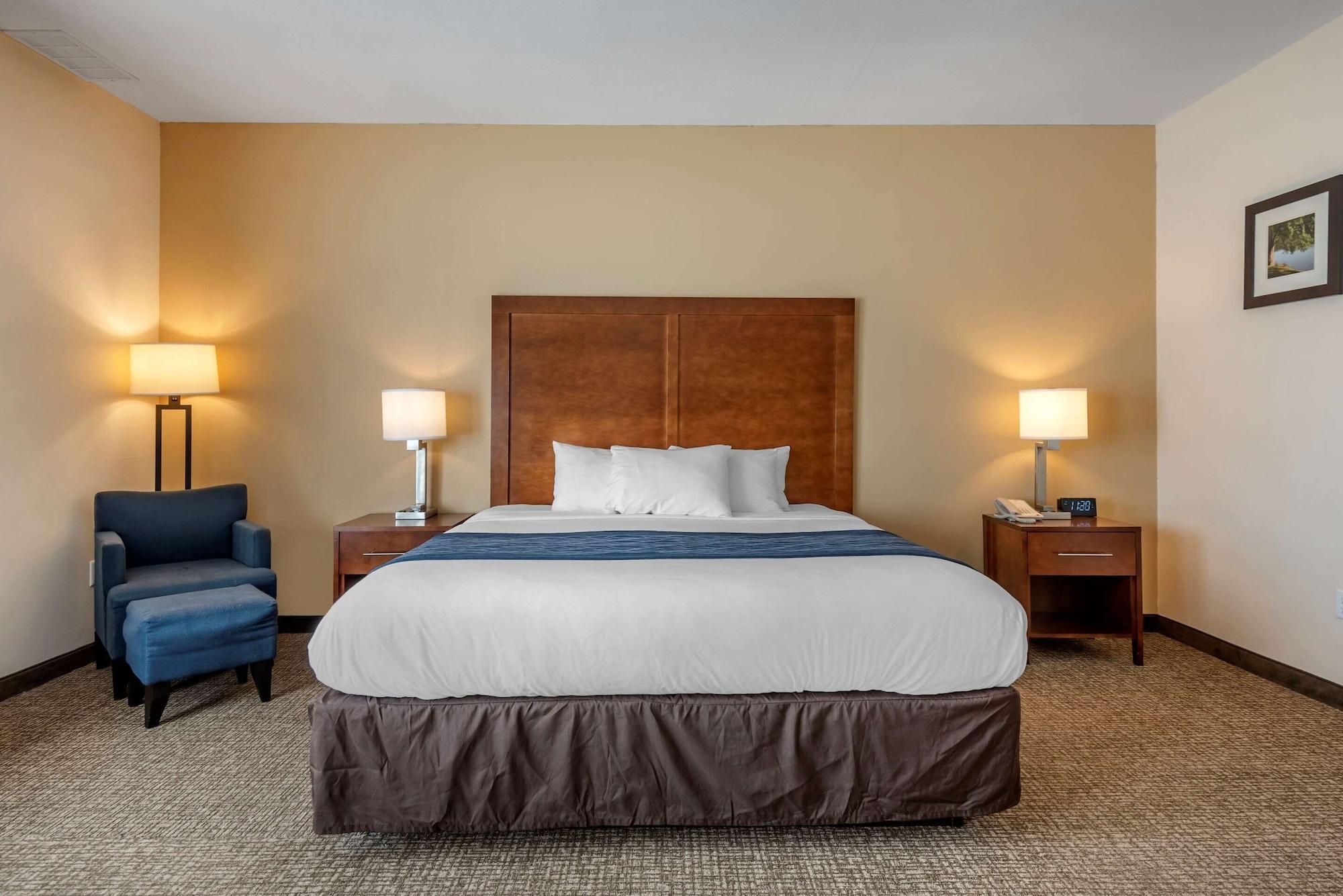 Comfort Inn Apalachin - Binghamton W Route 17 Zewnętrze zdjęcie