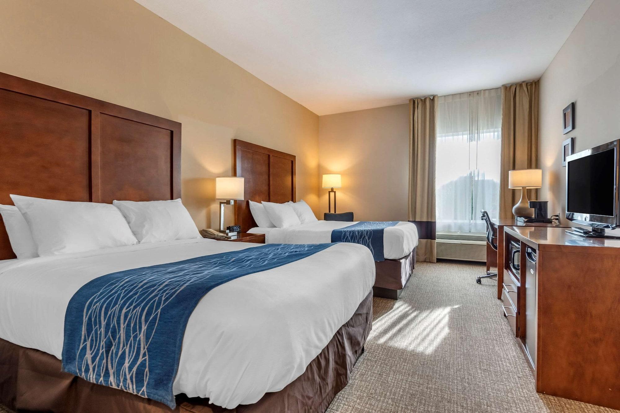 Comfort Inn Apalachin - Binghamton W Route 17 Zewnętrze zdjęcie