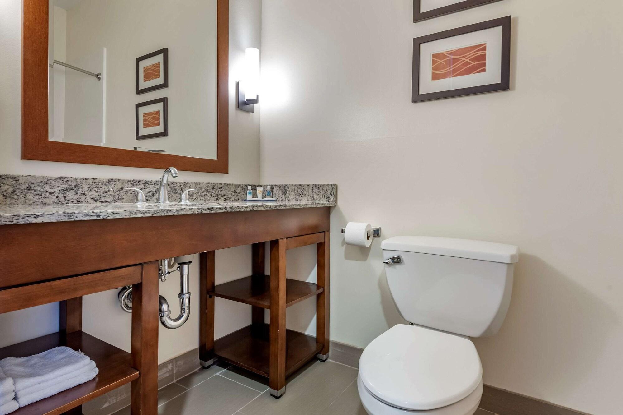 Comfort Inn Apalachin - Binghamton W Route 17 Zewnętrze zdjęcie