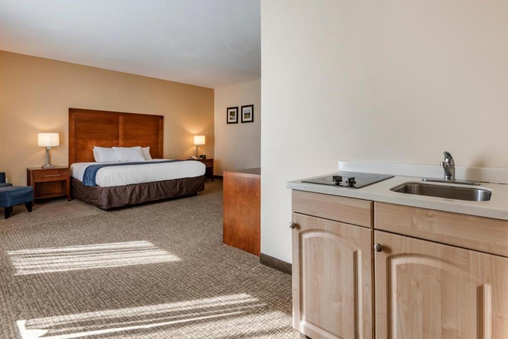 Comfort Inn Apalachin - Binghamton W Route 17 Zewnętrze zdjęcie