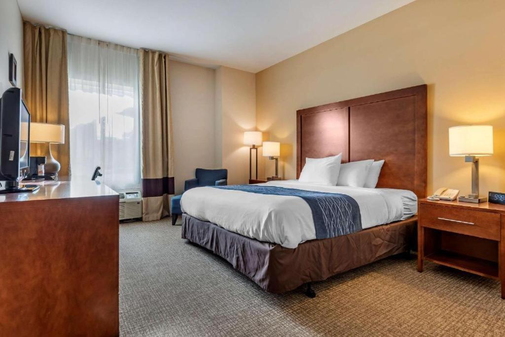 Comfort Inn Apalachin - Binghamton W Route 17 Zewnętrze zdjęcie