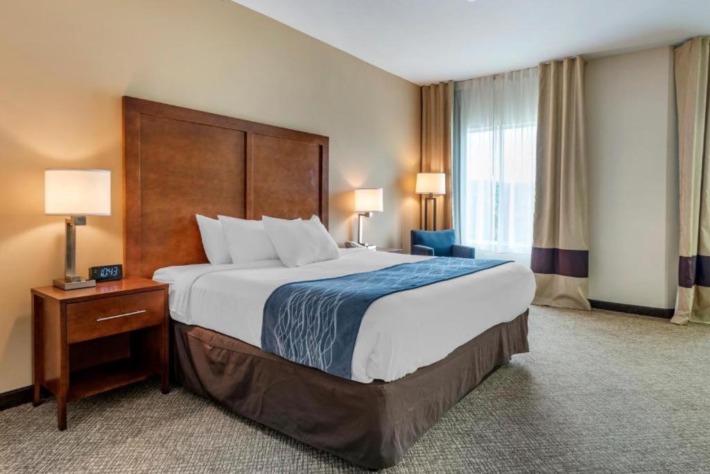 Comfort Inn Apalachin - Binghamton W Route 17 Zewnętrze zdjęcie