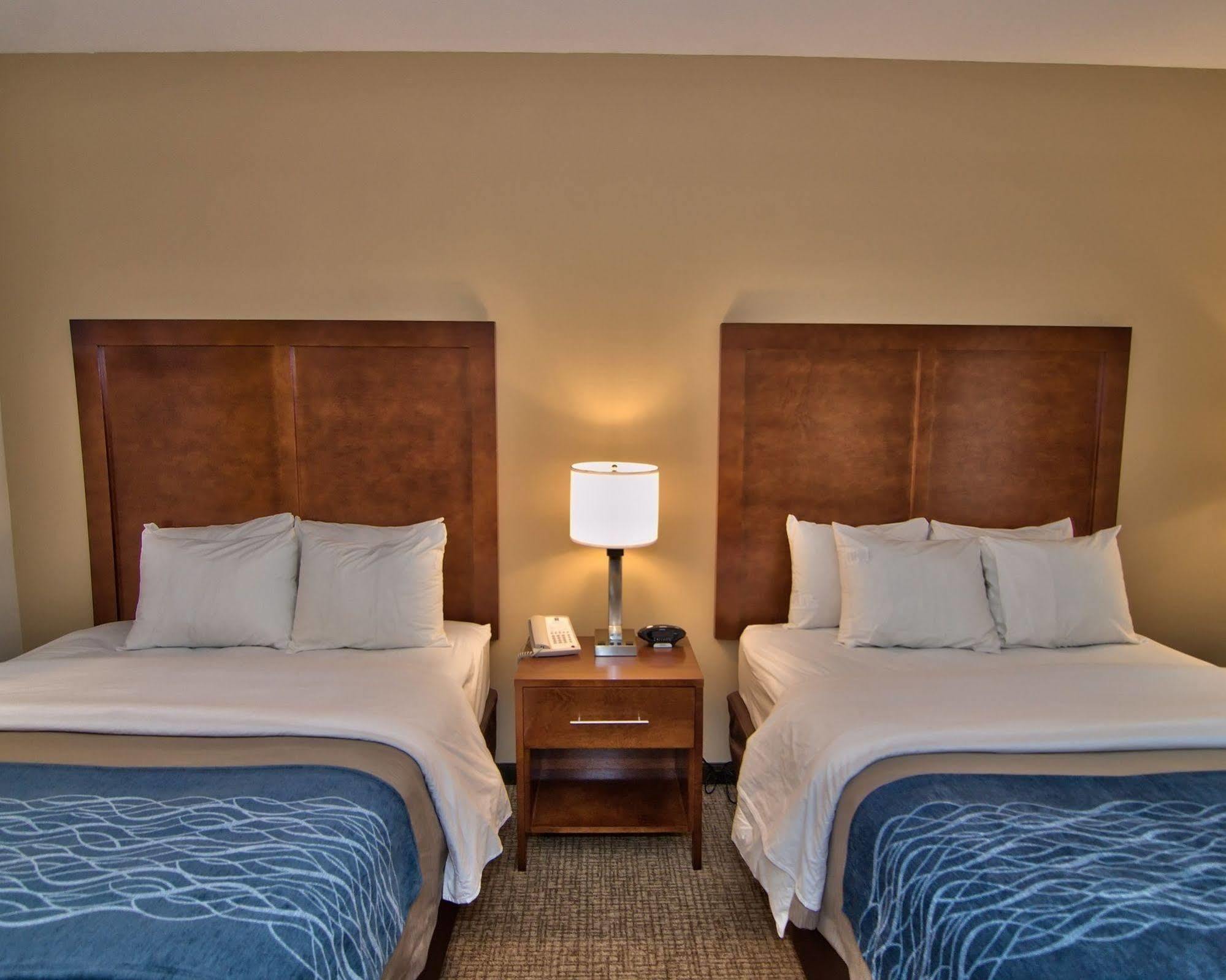 Comfort Inn Apalachin - Binghamton W Route 17 Zewnętrze zdjęcie