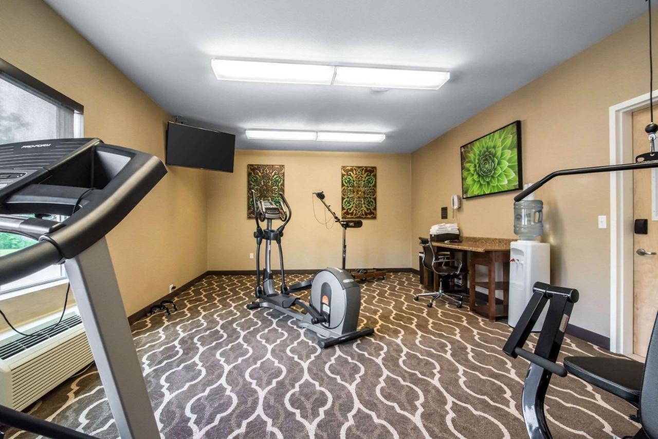 Comfort Inn Apalachin - Binghamton W Route 17 Zewnętrze zdjęcie